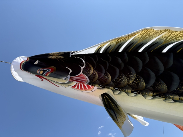 ゴールデンウイーク休業のお知らせ（2026年）